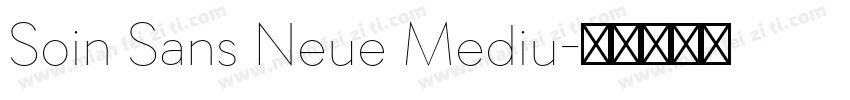 Soin Sans Neue Mediu字体转换